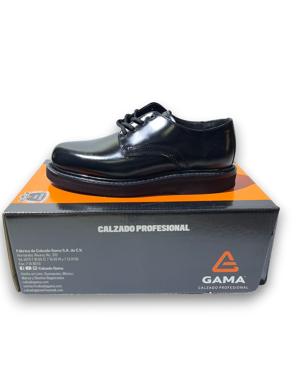 Zapatos de Piel Gama